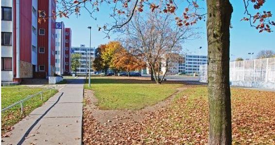 青島校園文化建設是學校發(fā)展的重要保證